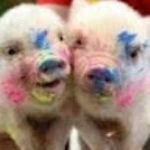 Meet your Posher, Caroline